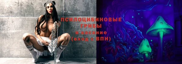 соль ск Каменногорск
