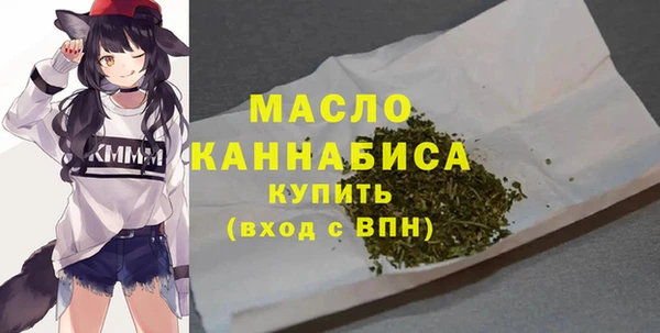 соль ск Каменногорск