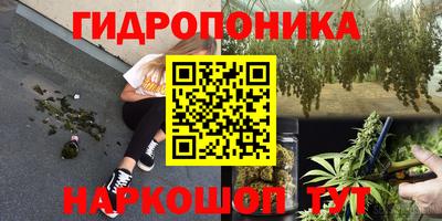 тгк Кимры