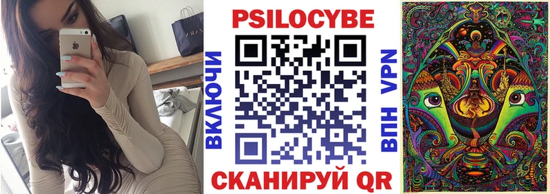 закладки Серпухов Псилоцибиновые грибы MAGIC MUSHROOMS