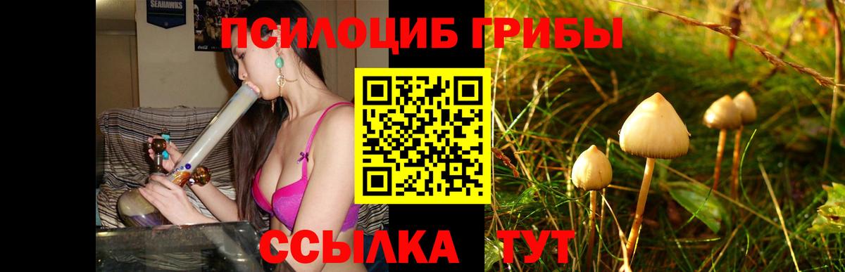 купить наркоту  Вход с VPN  Серпухов  Псилоцибиновые грибы MAGIC MUSHROOMS 